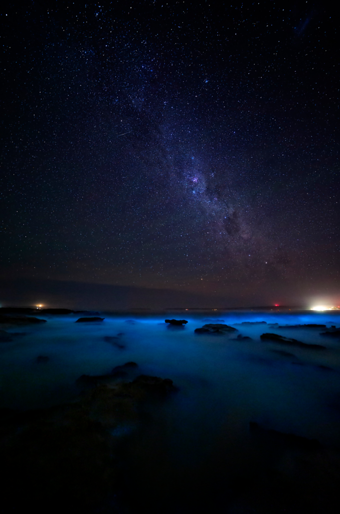 bioluminescence in florida water on beach